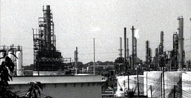 Hollywood on the Mississippi thumb